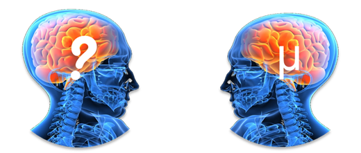 Difference between Qual and Quant