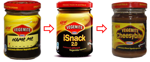 iSnack 2.0 case study illustrates the benefits and pitfalls of relying on crowd sourcing and social media for market research.