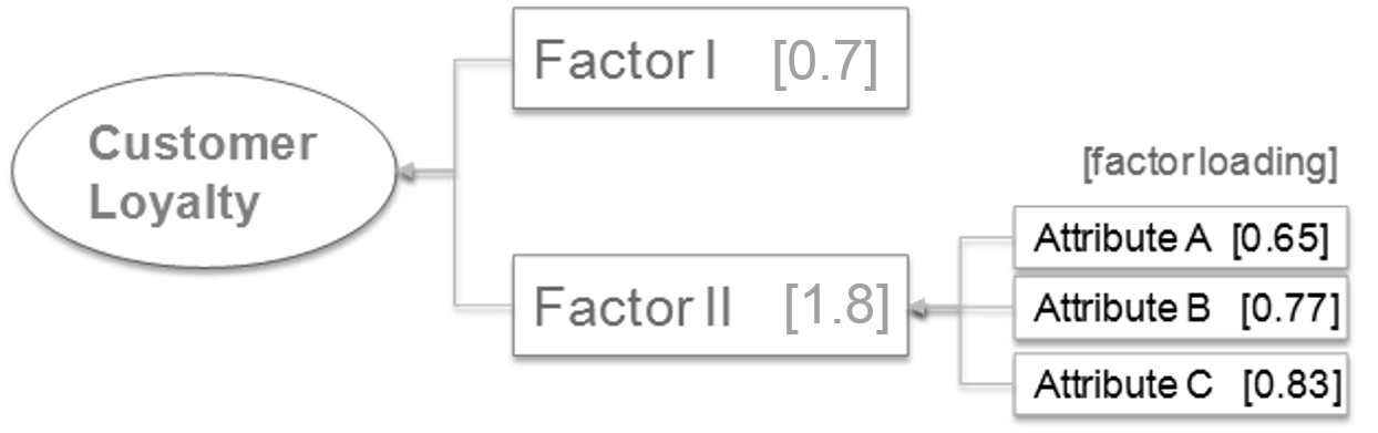 Derived importance models - customer loyalty