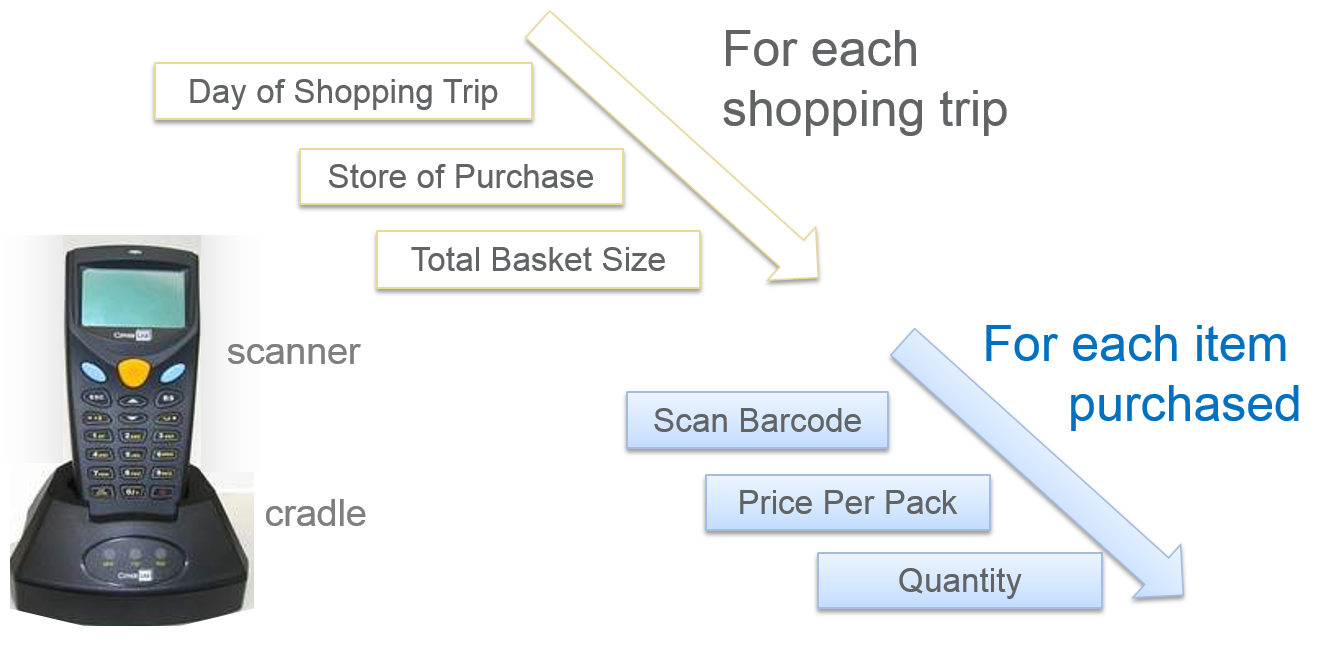 Consumer Panels - Recording of purchases with hand held scanners. Consumer Analytics