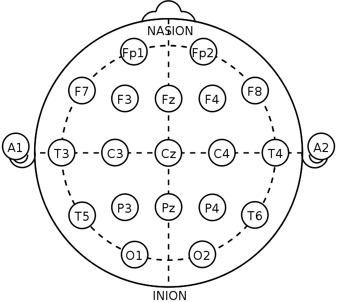 Electroencephalography (EEG) - Electrode locations of for EEG recording according to the international 10-20 system