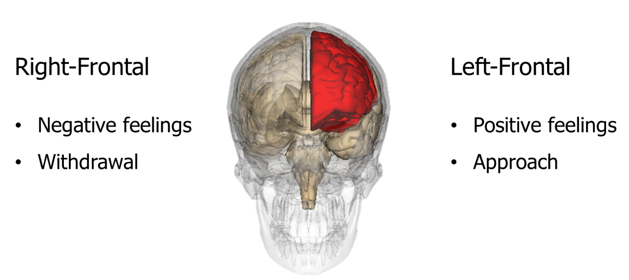 Electroencephalography (EEG) - Activity in the left/right-frontal brain reveal approach-avoidance tendencies.