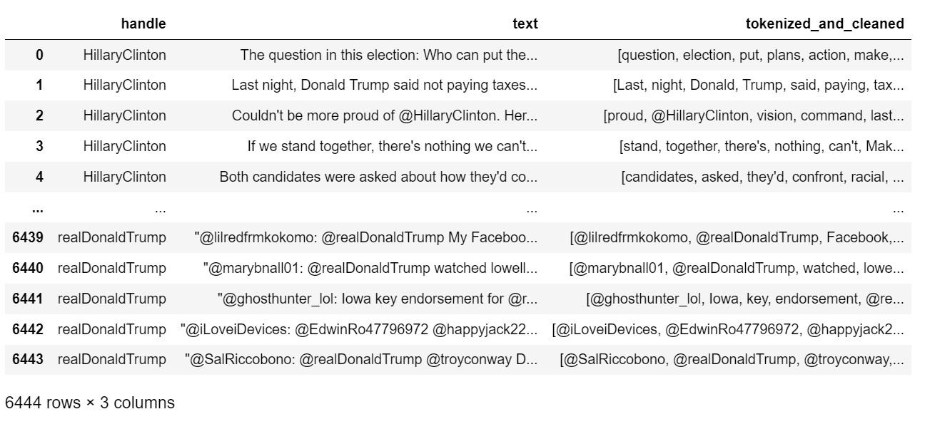 Cleaned and tokenized tweets