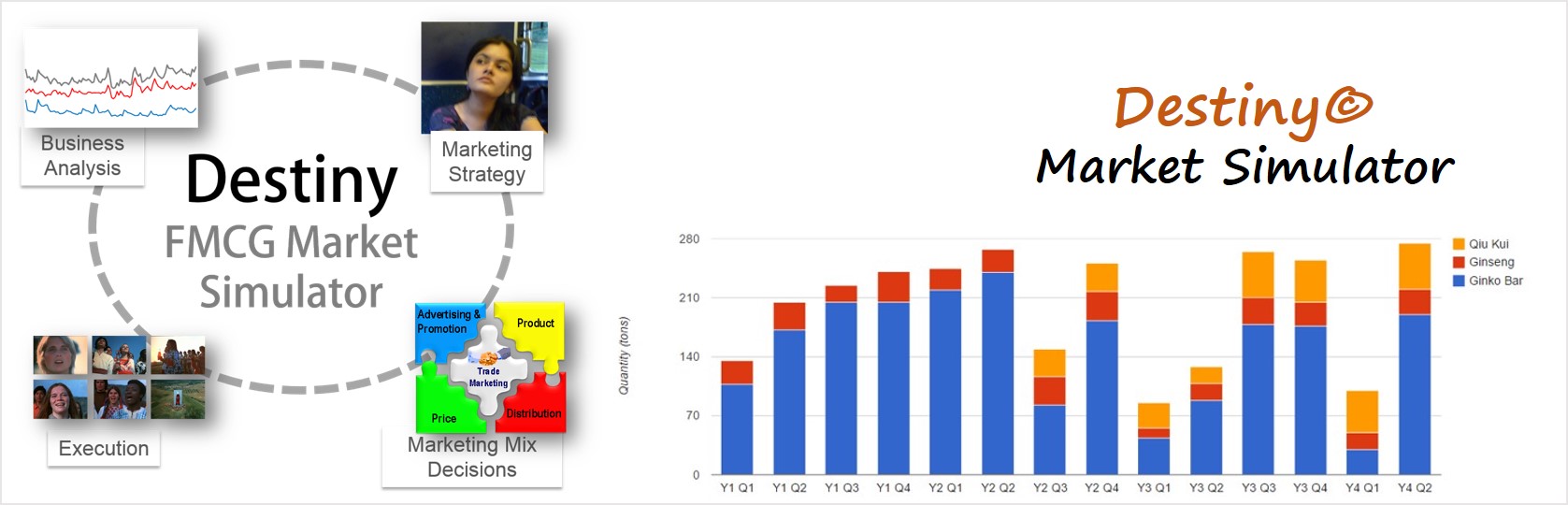 Destiny marketing simulation